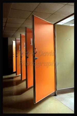 orange doors border.jpg